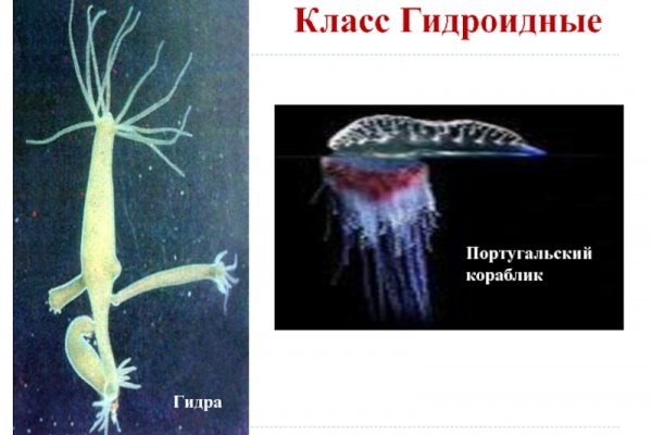 Кракен 2kraken biz