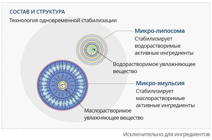 Kraken onion вход